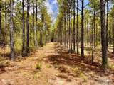 Lot 95 Turning Leaf Rd - Photo 10