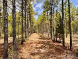 Lot 95 Turning Leaf Rd - Photo 11