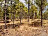 Lot 95 Turning Leaf Rd - Photo 12