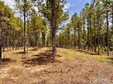 Lot 95 Turning Leaf Rd - Photo 13
