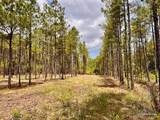 Lot 95 Turning Leaf Rd - Photo 14