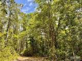 Lot 95 Turning Leaf Rd - Photo 15