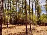 Lot 95 Turning Leaf Rd - Photo 22