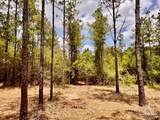 Lot 95 Turning Leaf Rd - Photo 23