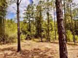Lot 95 Turning Leaf Rd - Photo 24