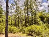 Lot 95 Turning Leaf Rd - Photo 25