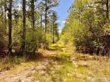 Lot 96 Turning Leaf Rd - Photo 11
