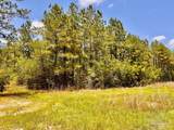 Lot 96 Turning Leaf Rd - Photo 12