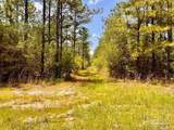 Lot 96 Turning Leaf Rd - Photo 14