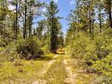 Lot 96 Turning Leaf Rd - Photo 15