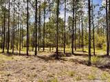 Lot 96 Turning Leaf Rd - Photo 20