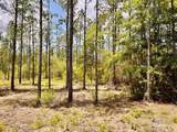 Lot 96 Turning Leaf Rd - Photo 21