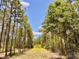 Lot 96 Turning Leaf Rd - Photo 22
