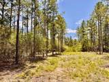 Lot 96 Turning Leaf Rd - Photo 23