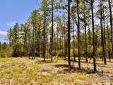 Lot 96 Turning Leaf Rd - Photo 25