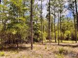 Lot 96 Turning Leaf Rd - Photo 26
