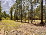 Lot 96 Turning Leaf Rd - Photo 28