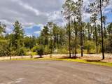 Lot 96 Turning Leaf Rd - Photo 8
