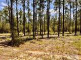Lot 97 Turning Leaf Rd - Photo 14