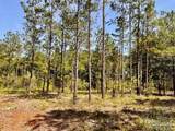 Lot 99 Turning Leaf Rd - Photo 11