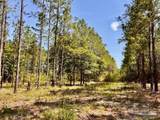 Lot 99 Turning Leaf Rd - Photo 12