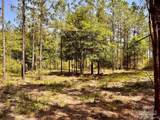 Lot 99 Turning Leaf Rd - Photo 13
