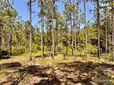 Lot 99 Turning Leaf Rd - Photo 14