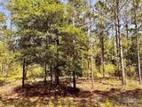 Lot 99 Turning Leaf Rd - Photo 15