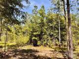 Lot 99 Turning Leaf Rd - Photo 17