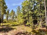 Lot 99 Turning Leaf Rd - Photo 18