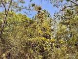 Lot 99 Turning Leaf Rd - Photo 19