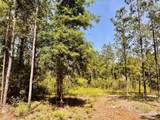 Lot 99 Turning Leaf Rd - Photo 2