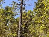 Lot 99 Turning Leaf Rd - Photo 20