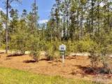 Lot 99 Turning Leaf Rd - Photo 7