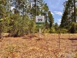 Lot 99 Turning Leaf Rd - Photo 8