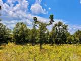 Lot 38 BR Buffalo Ridge Rd - Photo 24