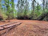 Parcel C Killian Dr - Photo 16
