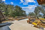 320 Sunset Blvd - Photo 48