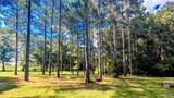 3050 Sam Sullivan Rd - Photo 57