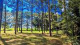 3050 Sam Sullivan Rd - Photo 59