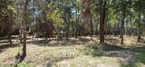 000 Falling Brook Ct - Photo 6