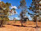 Lot 9 Denali Rd - Photo 16