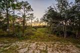5314 North Shore Rd - Photo 12