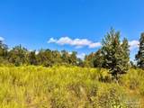 Lot 6C Cotton Lake Rd - Photo 1