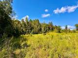 Lot 6C Cotton Lake Rd - Photo 10