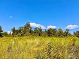 Lot 6C Cotton Lake Rd - Photo 11
