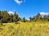 Lot 6C Cotton Lake Rd - Photo 12