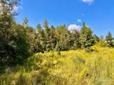 Lot 6C Cotton Lake Rd - Photo 13