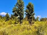 Lot 6C Cotton Lake Rd - Photo 15