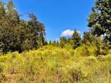 Lot 6C Cotton Lake Rd - Photo 16